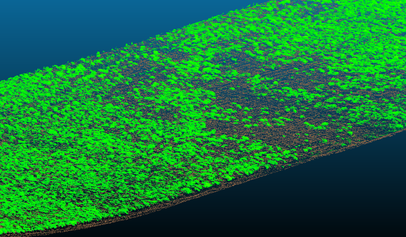 A three-dimensional point cloud image showing dense green vegetation scattered across a brown-toned paddock surface.