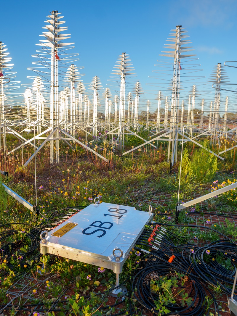 A field of silver antennas arranged in a grid across low vegetation and wildflowers under a clear blue sky. Cables connect the antennas to a rectangular metal electronics unit in the foreground marked 
