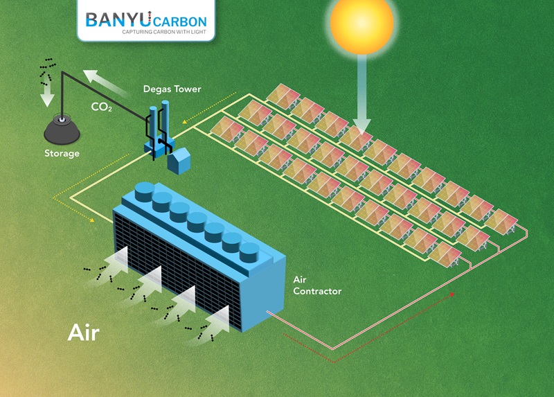 Infographic showing how the pilot carbon capture field works