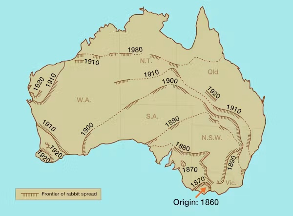 Map of Australia showing the spread of rabbits from their 1860 origin in Victoria. Dated frontier lines trace their expansion across Victoria, New South Wales, South Australia, Queensland, Western Australia and the Northern Territory between 1870 and 1980.