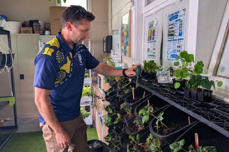 Tom Bilney stands next to a row of plants monitoring their growth