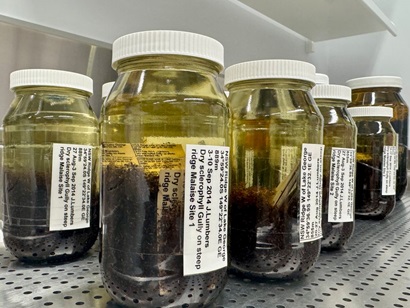 Several glass jars filled with liquid and insect specimens, labeled with collection details, arranged on a perforated metal shelf in a laboratory.