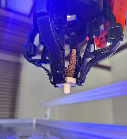 Close-up of a robotic gripper holding a small piece of coral.