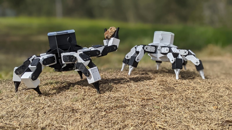 Two hexapod robots traversing a grassy area, with one carrying a rock using a robotic gripper.