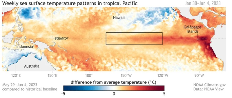A graph tracking rising sea surface temperatures across the Pacific.