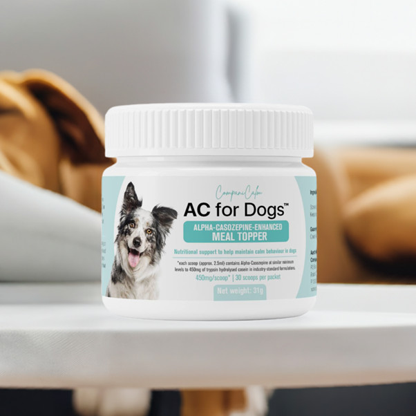 AC for Dogs