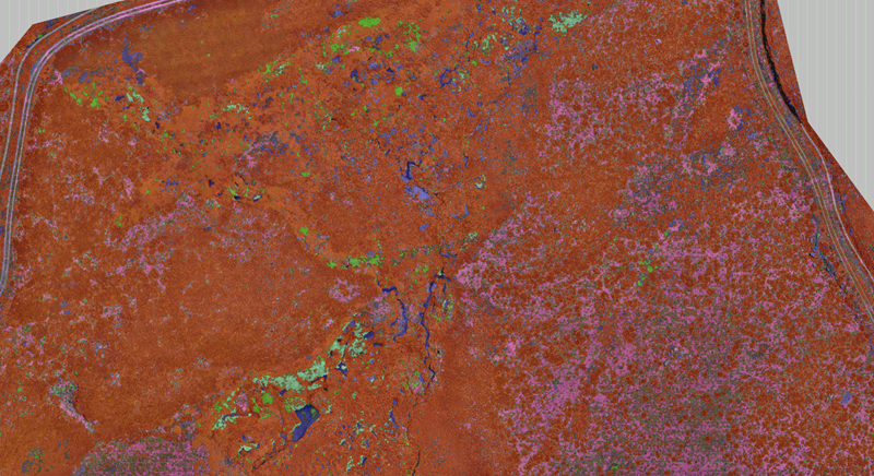 Output from the Bunjilview classification algorithm with colours indicating different vegetation or land cover types across the survey area