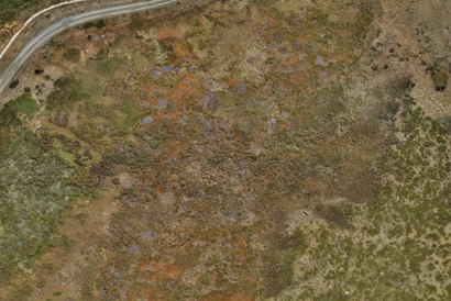 Aerial drone view of an alpine peatland showing a mosaic of rust-orange sphagnum moss, green vegetation, and small dark pools of water, with a gravel walking track curving along the top-left edge.
