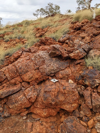 Red rock structures with sparse foliage.
