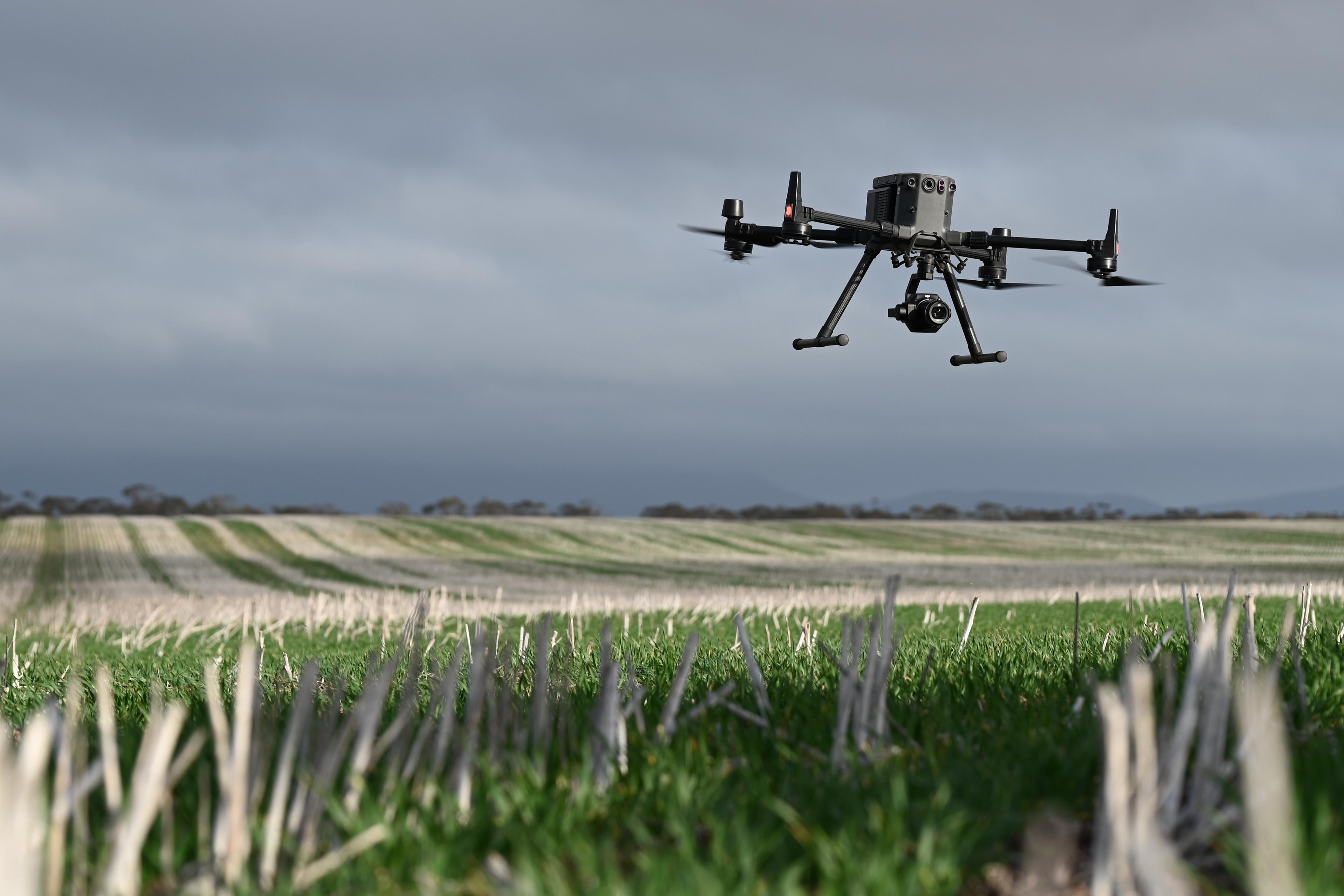 A black drone with a mounted camera hovering above a green crop field under an overcast sky. Image supplied.