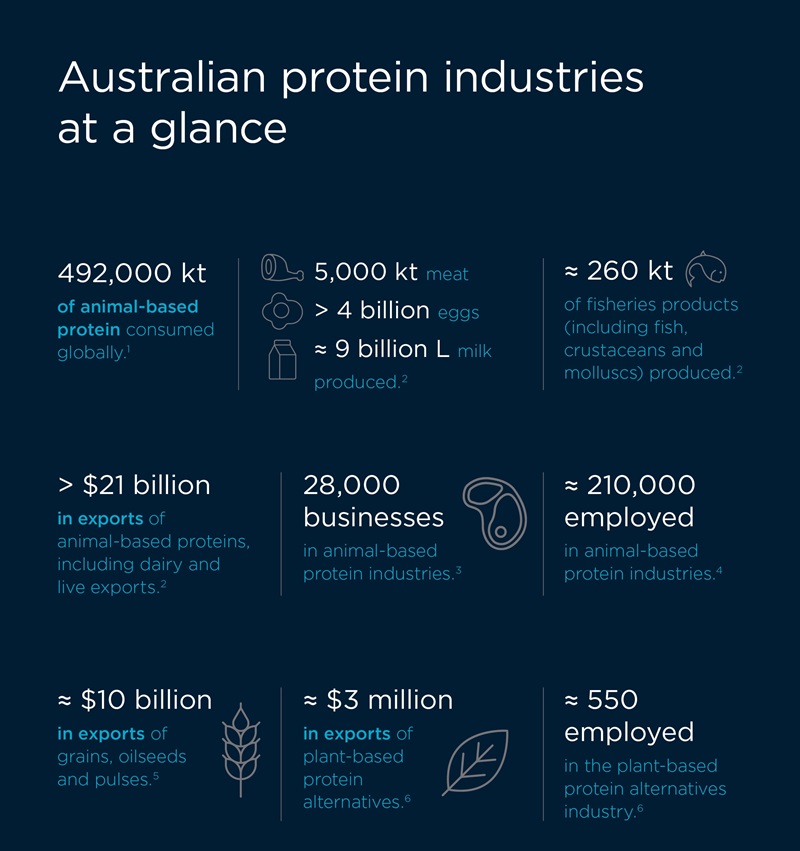 Infographic showing Australian protein industries at a glance