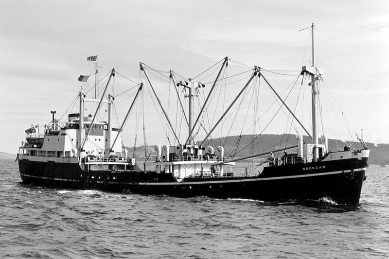 A black and white photo of the ship MV-Noongah