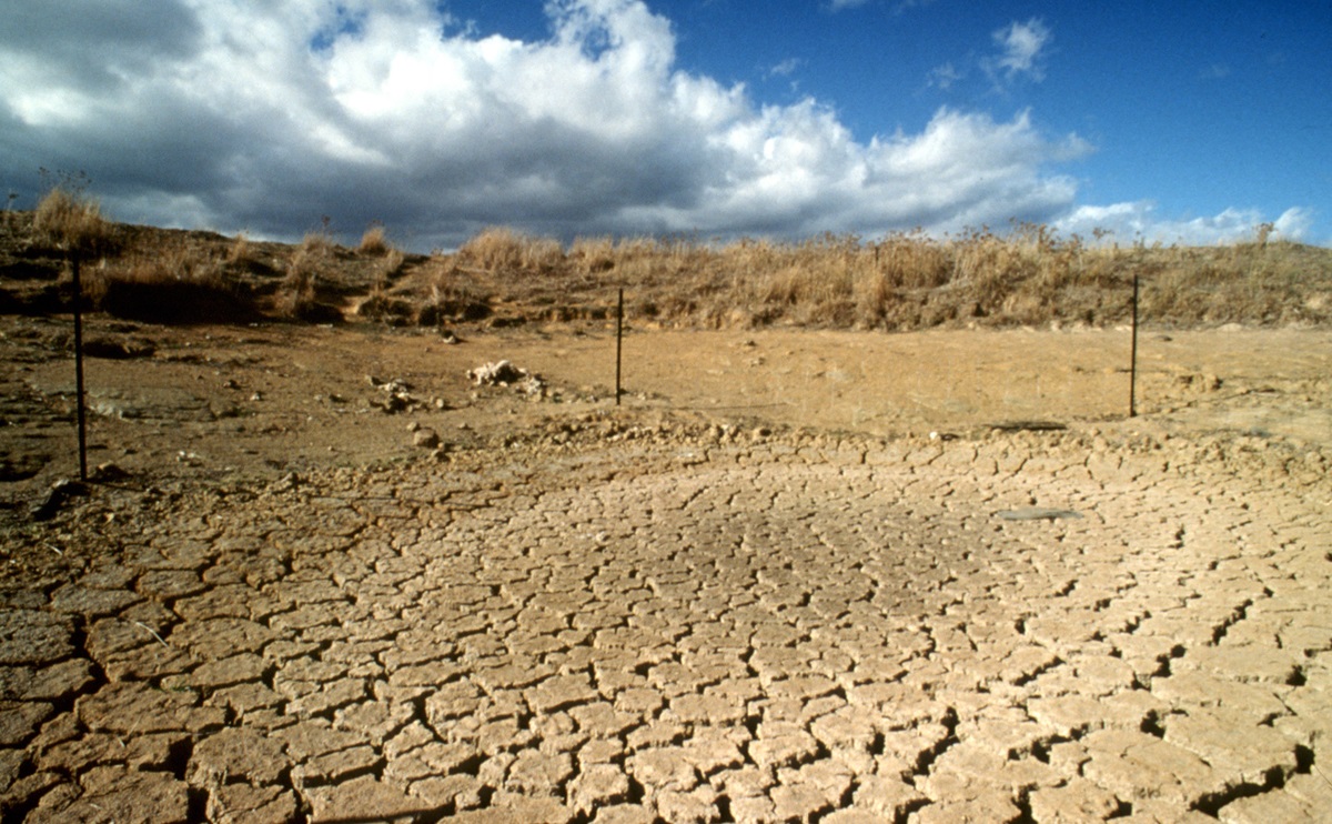 Expert Commentary: 2023/24 El Niño for Australia - Vimarsana News