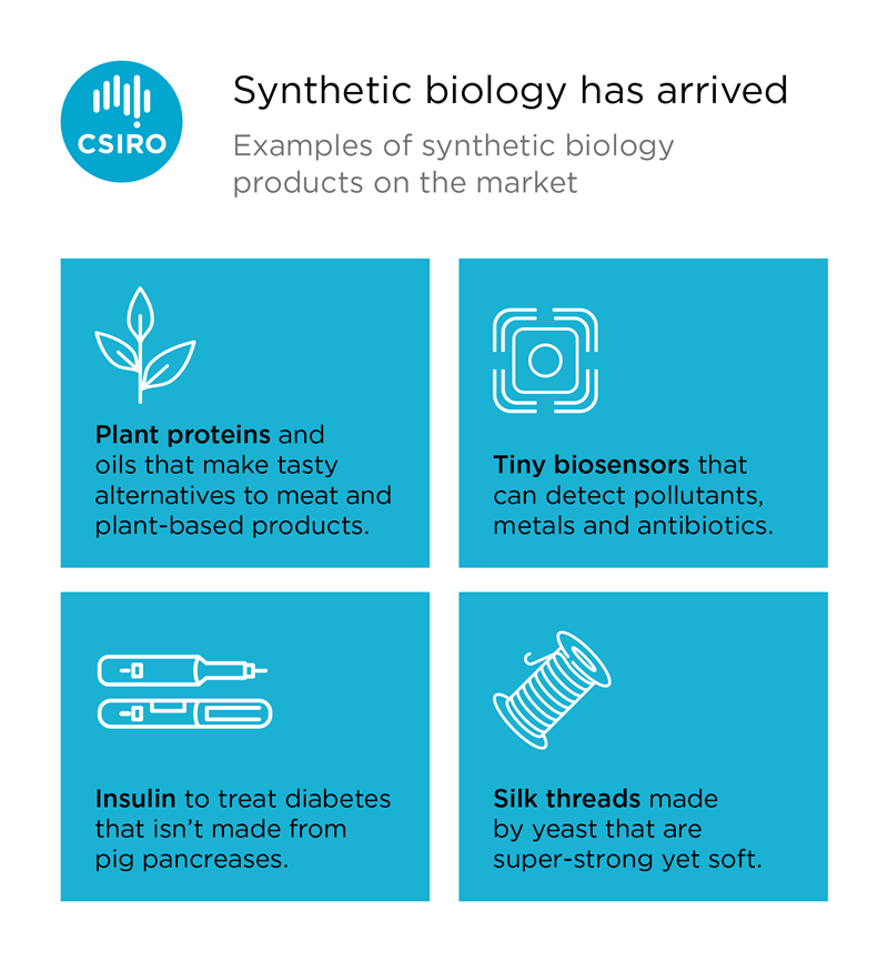 Infographic showing applications of synthetic biology