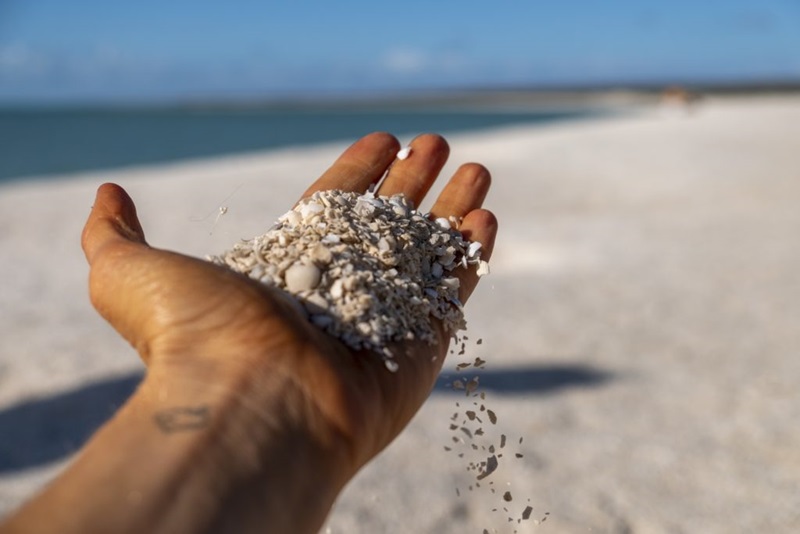 on the beach