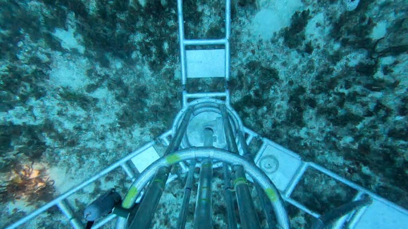 A piece of scientific equipment sitting on a green doniu on the seafloor.