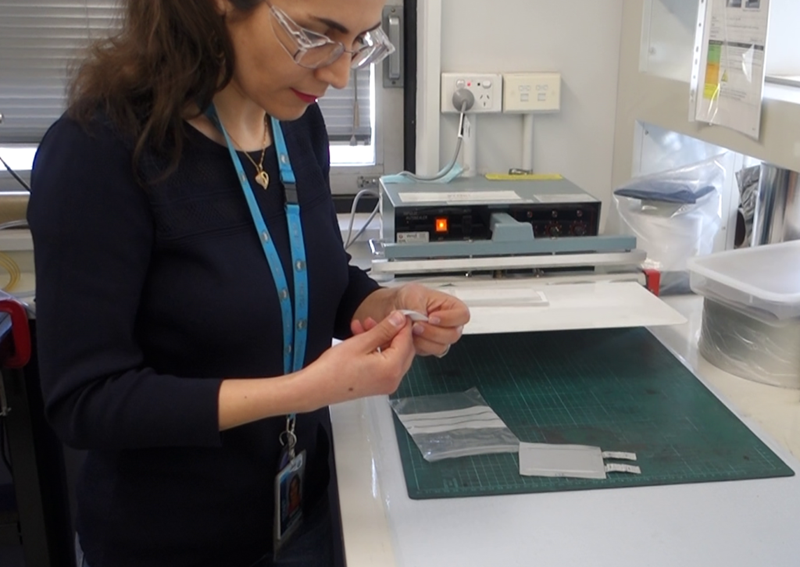 Marzi Barghamadi working in the lab.