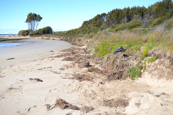 A beach scene with sand, a shovel standing upright and grass, with trees in the background