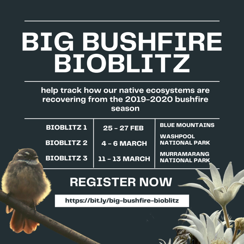 A black graphic with white text reading the dates and locations of the BioBlitz.