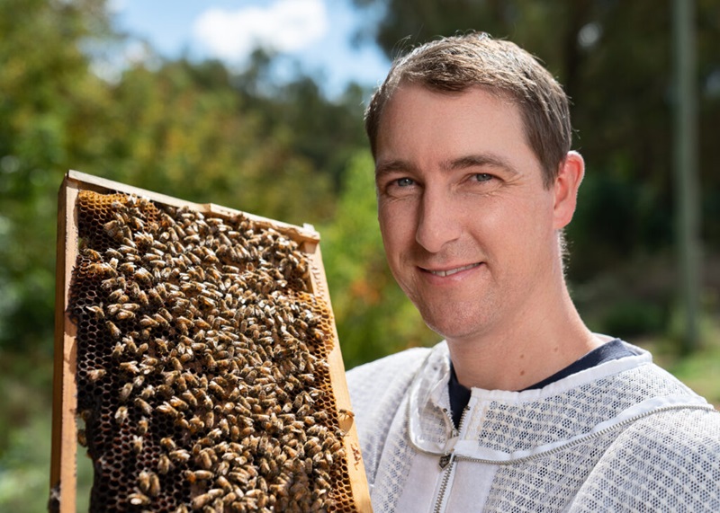 Man holding a tray of bees