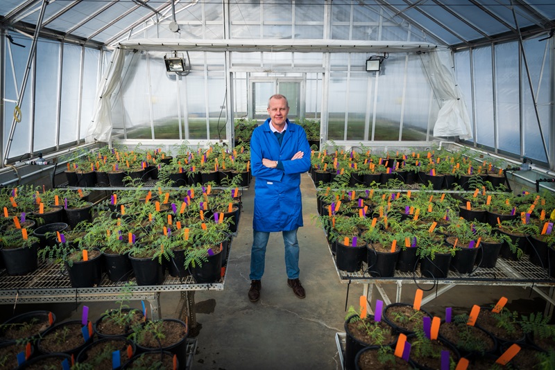 Man standing in greenhouse. It is Crispin Howitt, our Future Protein Mission lead.