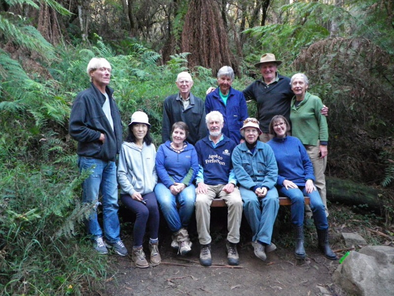 A group photo of the FOSF volunteers in the forest 