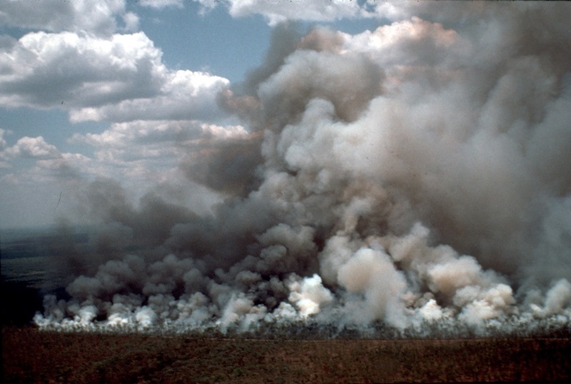 A picture of a fire.