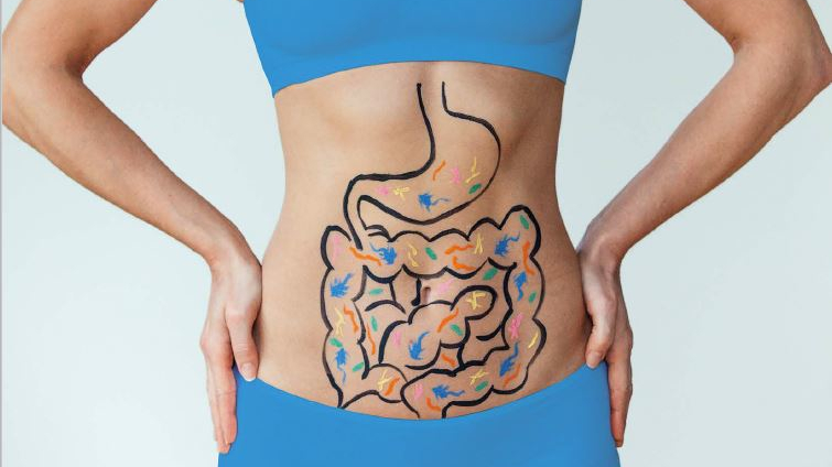 Gut health