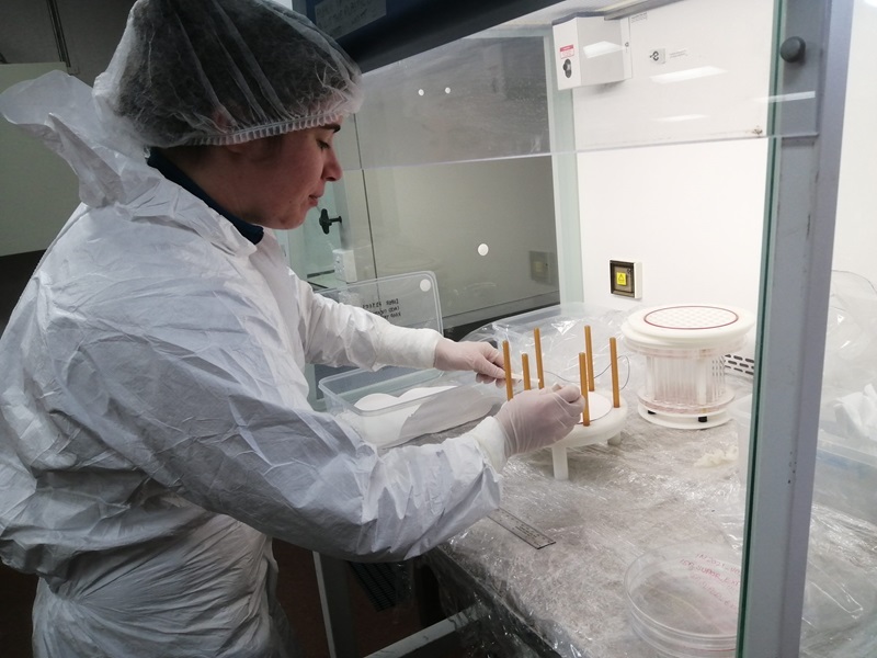 Scientist researching anaemic oceans. 