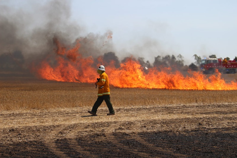 Dr Miguel Cruz dressed in safety equipment walking a field with a line fire burning nearby. 