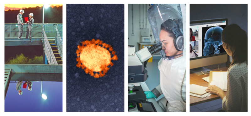CSIRO is seeing COVID-19 innovation across many areas of science. This picture shows (left to right): people at wastewater facility, COVID-19 cell, researcher looking in microscope, COVIU software on a computer screen.