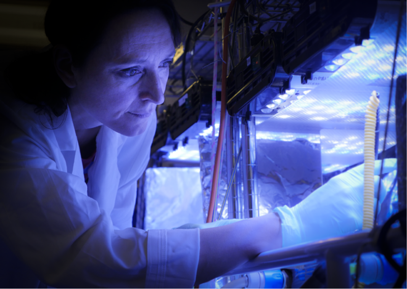 Martina Doblin wearing white gloves and a coat, doing science. 