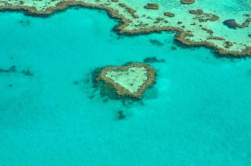 Picture of a heart shaped reef on the Great Barrier Reef.