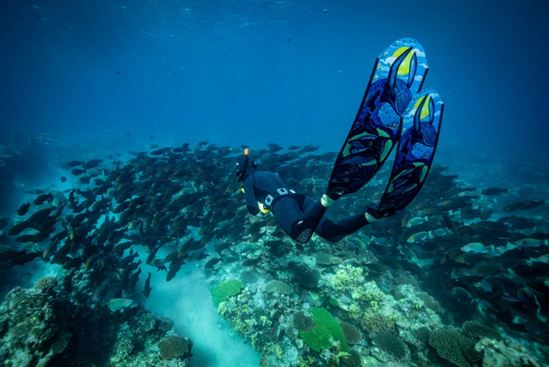 Diver swimming underwater over school of black fish above a reef