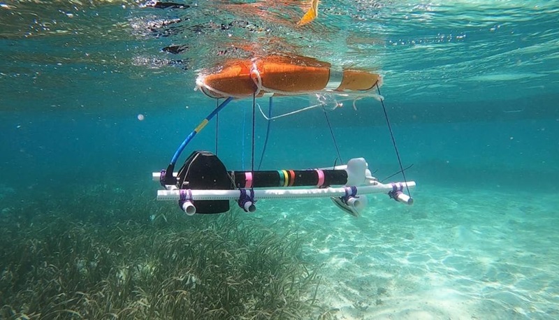 The underwater perfection system floating above a bed of seagrass on the seafloor. Blue Carbon Project. 