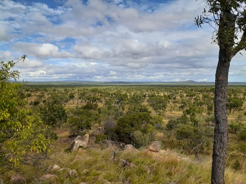 Panoramic photo of scenery in Undara Volcanic National park in north Queensland.