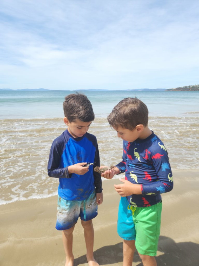 Two young children standing on a beach holding egg cases they have found.