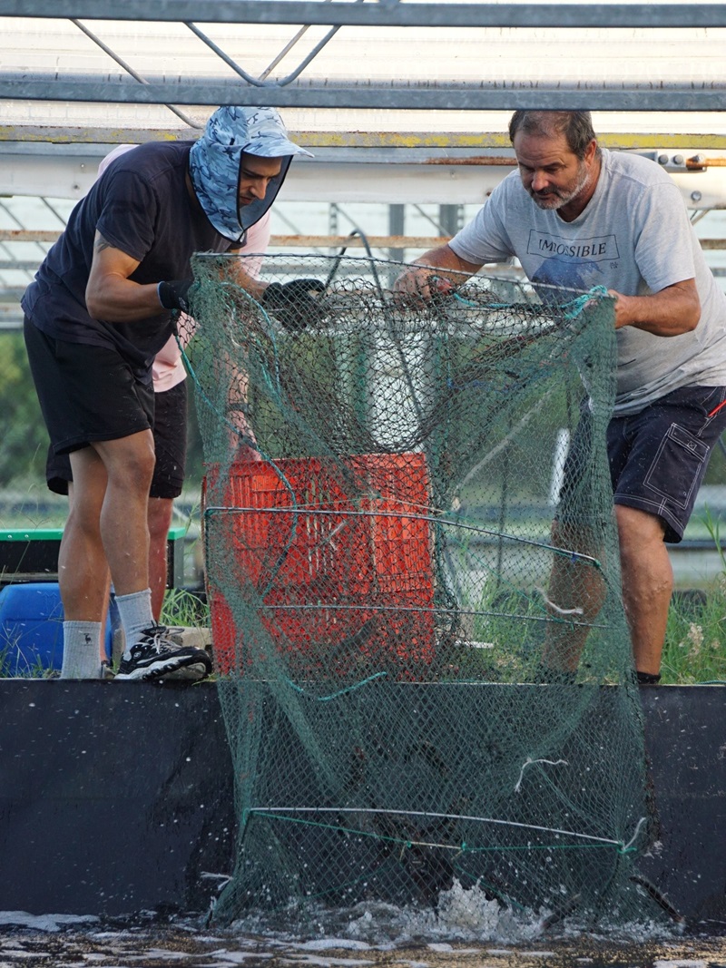 Image of Isaak Kadel and Brian Murphy working holding a fishing net by the water.