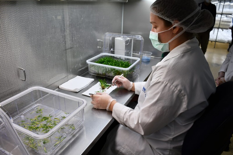 A woman sitting in a lab wearing a mask and hair net.