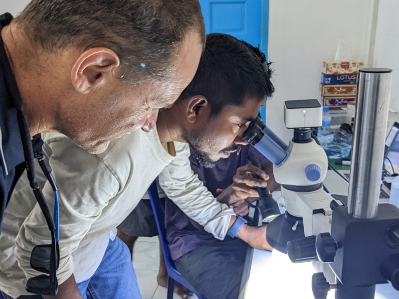 Two people lean over a microscope identifying coral.