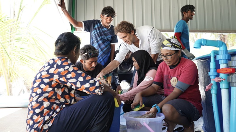 Group of people gathered around a bucket with sponges and preparing coral settlement tiles for resettlement.