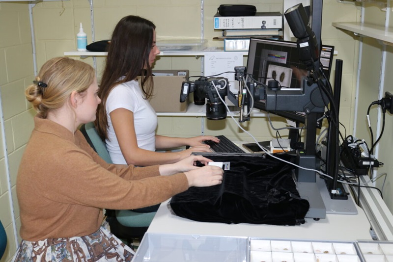 Two people sitting at a computer and camera rig taking photos of small boxes containing clutches of birds’ eggs.