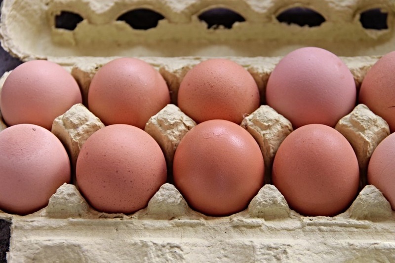 carton of eggs