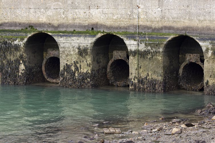 Sewers leading into the water