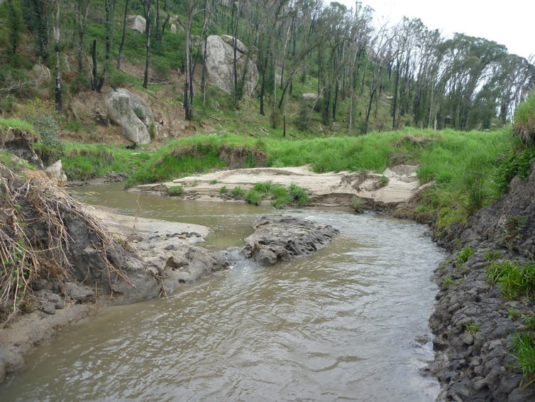 A stream with banks and trees.