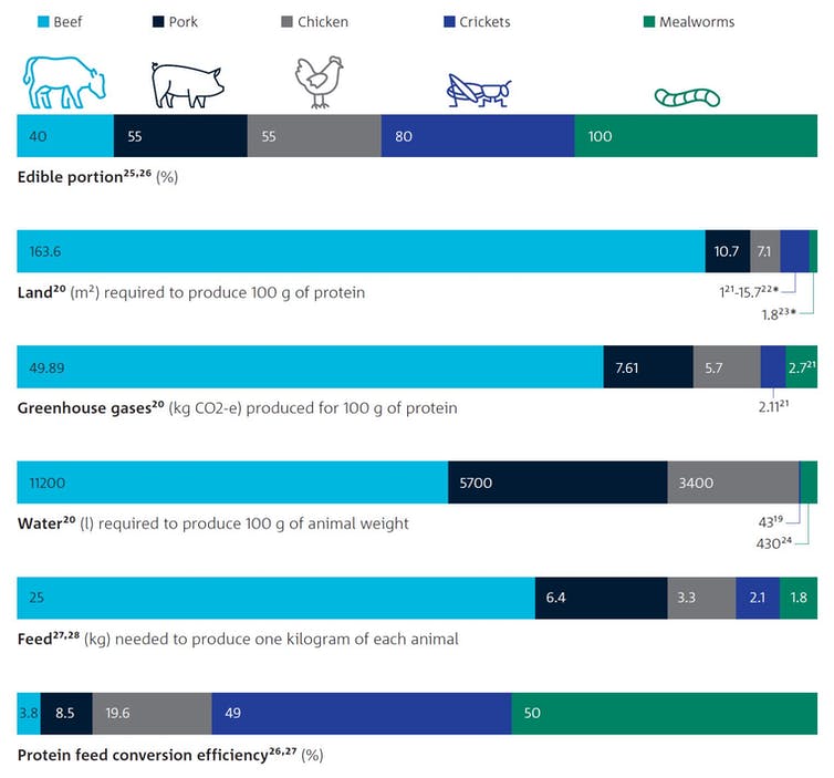 An infographic showing the protein feed conversion efficiency of edible insects.