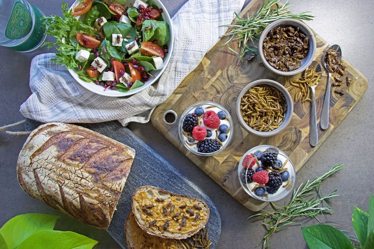 Photo of a spread of different food, all with edible insects on them.