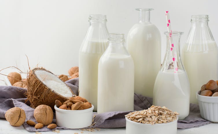 Five different sizes jugs filled with milk. Beside them is half a coconut, almonds, hazelnuts and oats in a bowl. Nutritional food swaps.