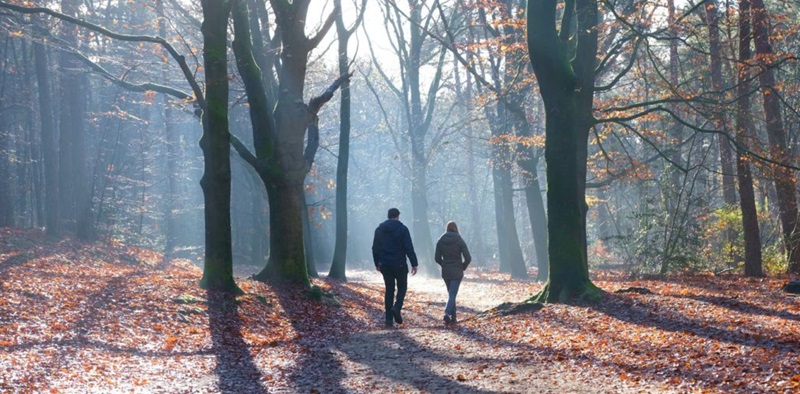 Two people walking in a forest outdoors.