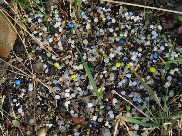 A photo of many plastic bottle lids amongst nature.